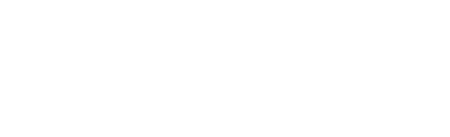 brave logo